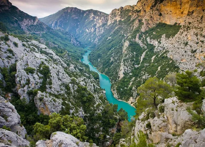 Le Gite Du Grand Cedre - Proche Des Gorges Du Verdon