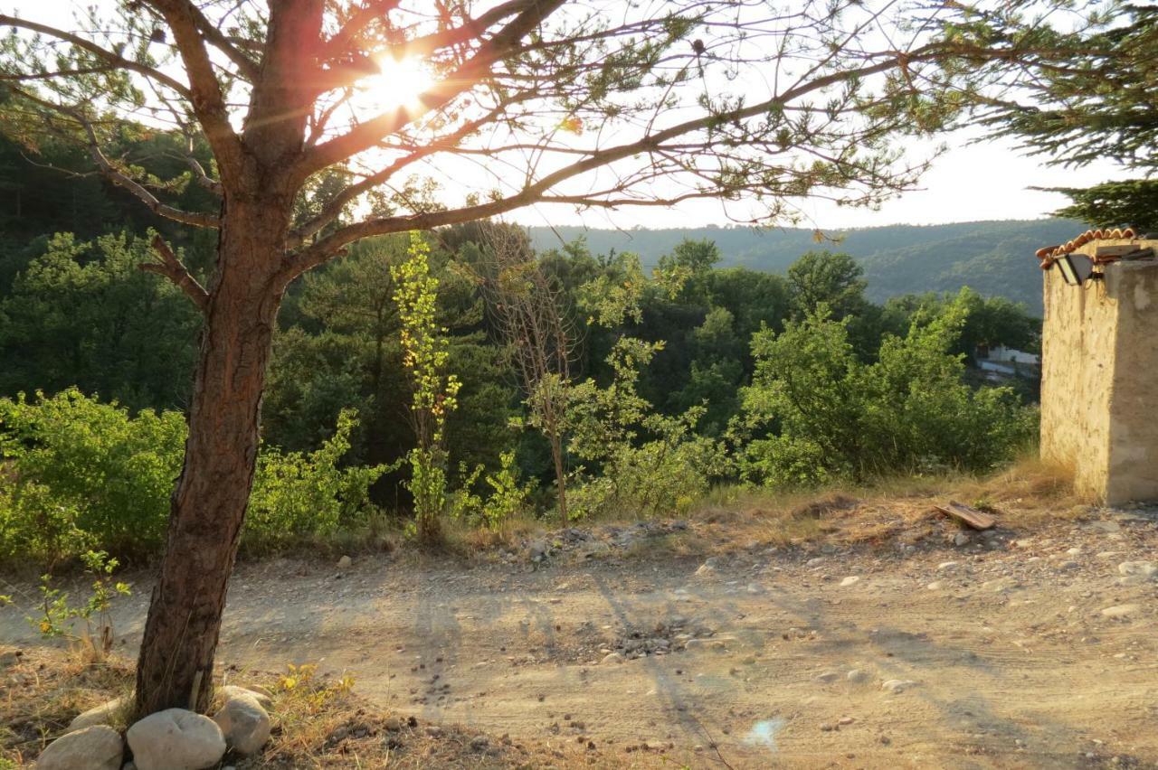 Le Du Grand Cedre - Proche Des Gorges Du Verdon Holiday home *