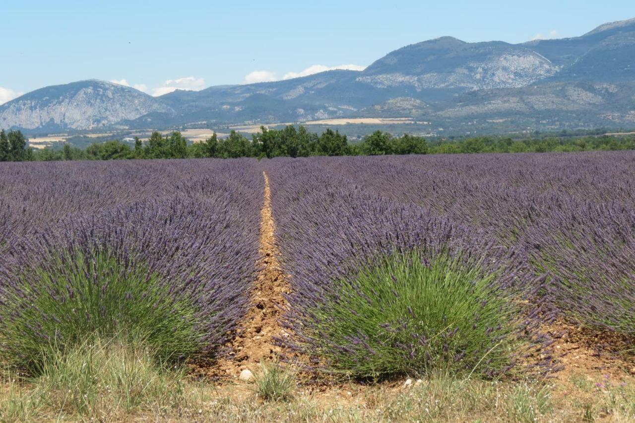 Le Du Grand Cedre - Proche Des Gorges Du Verdon * Allemagne-en-Provence