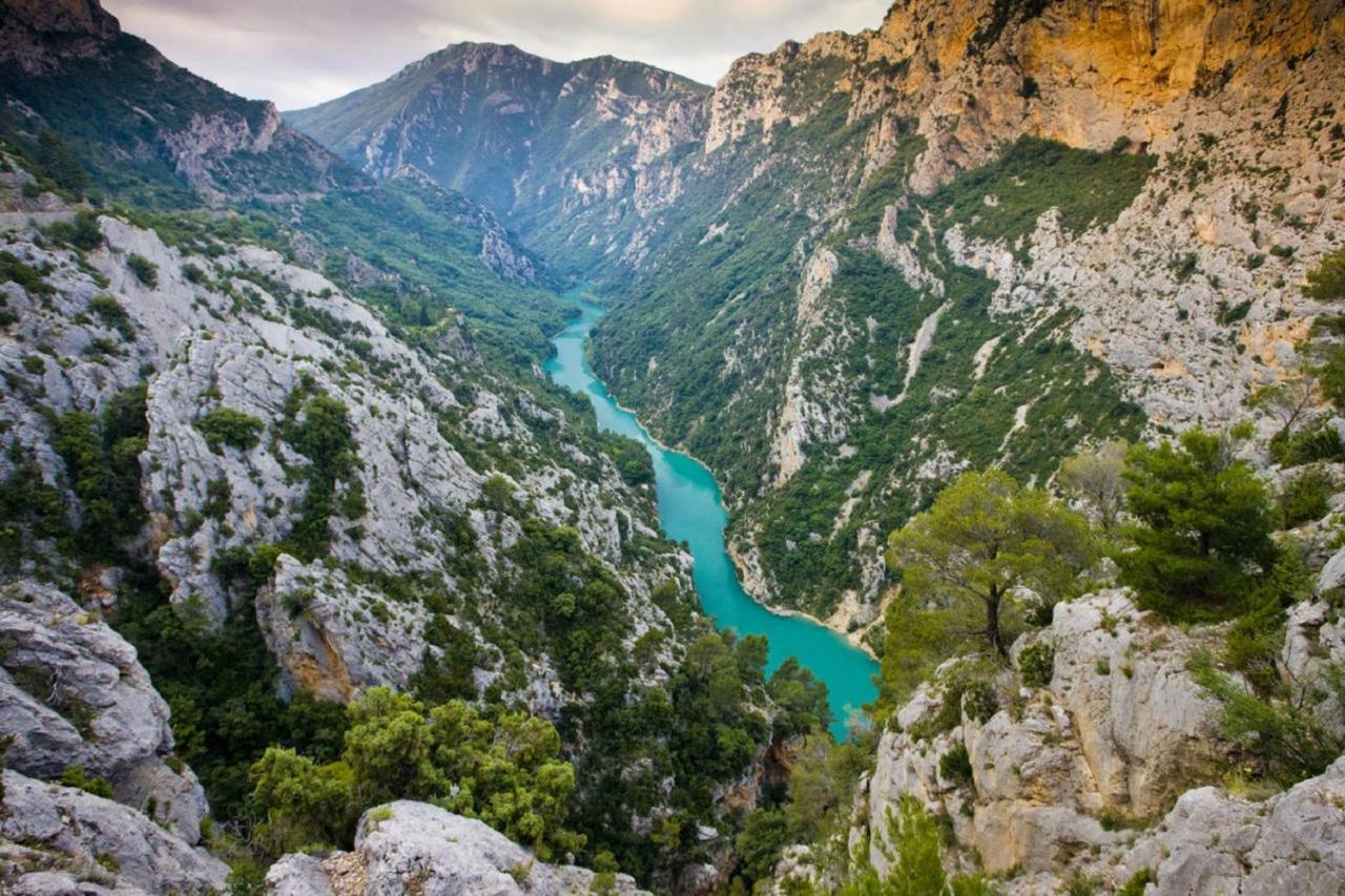 Holiday home Le Du Grand Cedre - Proche Des Gorges Du Verdon
